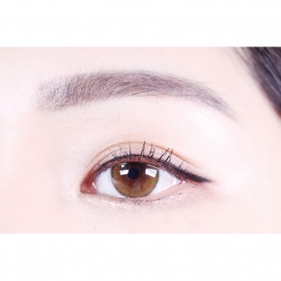 Holoris Ginger Brown(日拋)